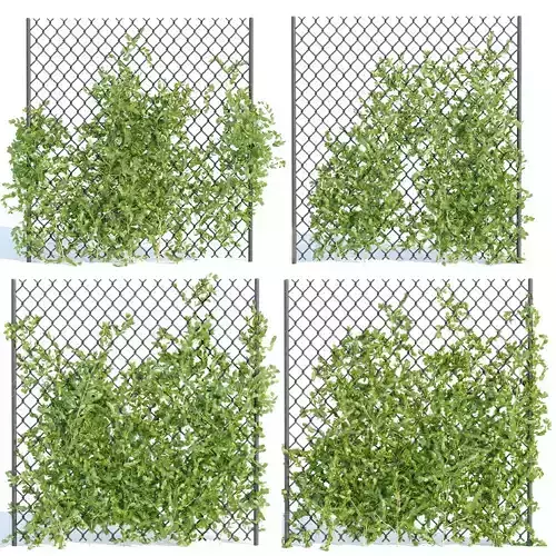 Ivy-fence collection vol 123