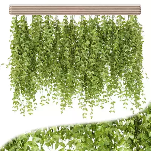 Hanging plants for indoor vol 124