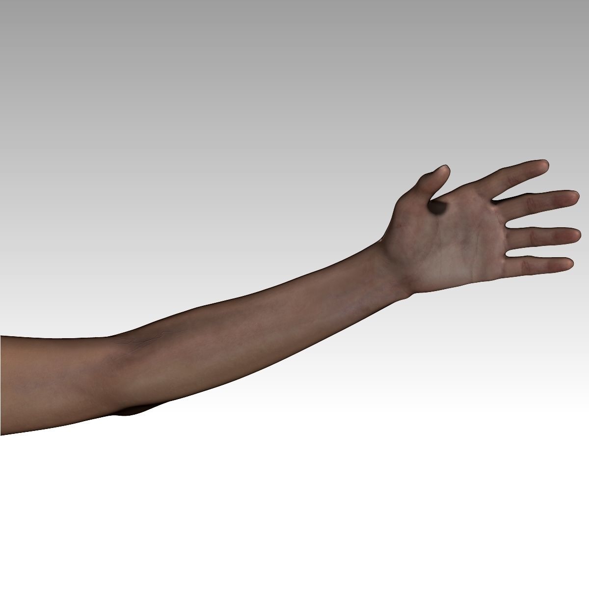 Chandra Female zbrush Model 3D model_18