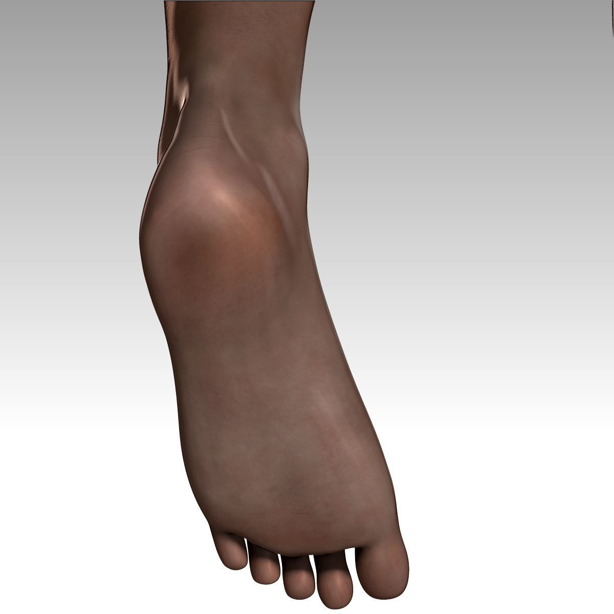 Chandra Female zbrush Model 3D model_21