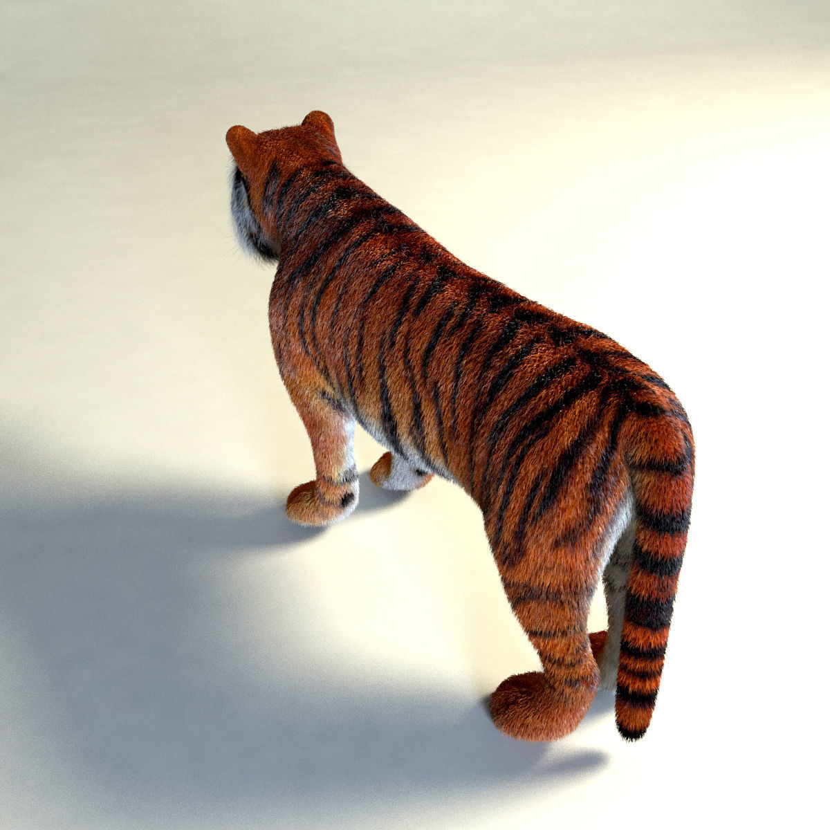Amur Tiger vray v1 Low-poly 3D model_9