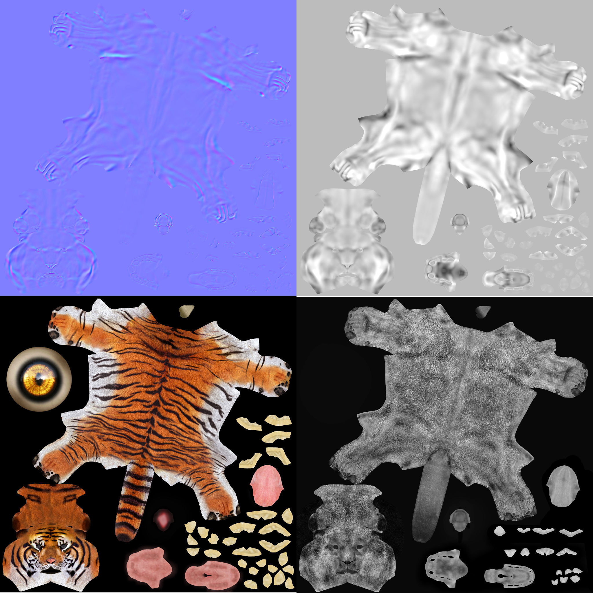 Amur Tiger vray v1 Low-poly 3D model_17