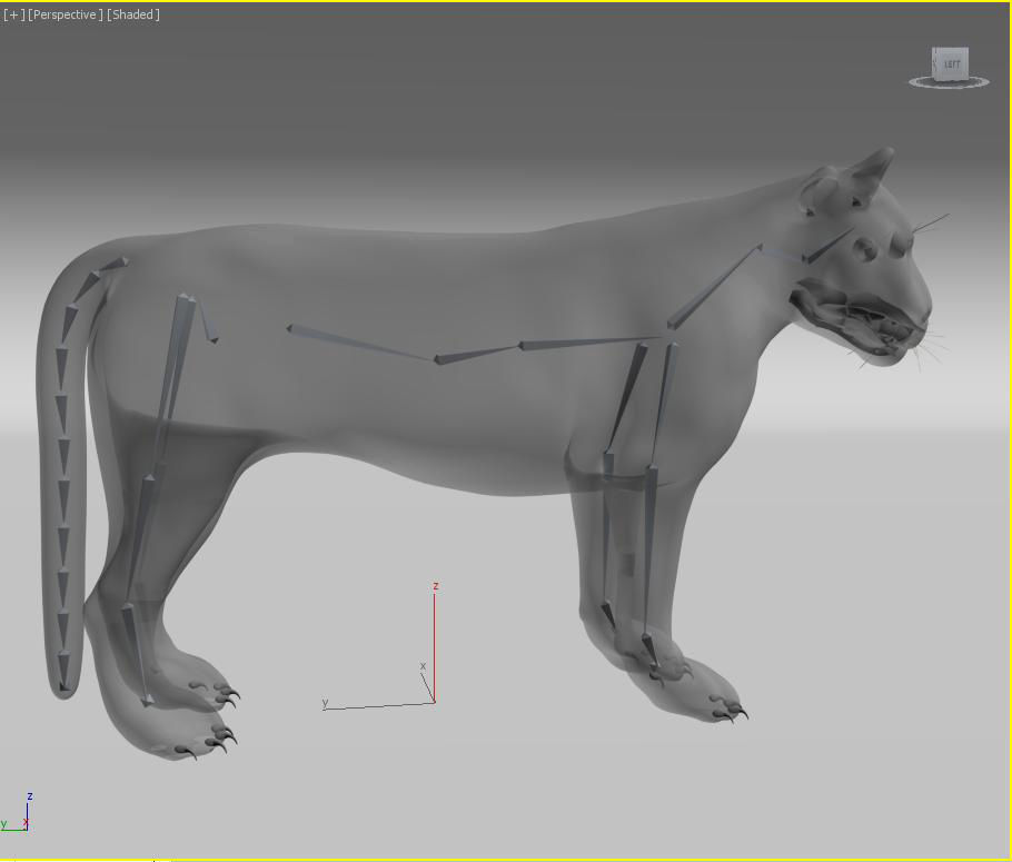 Amur Tiger vray v1 Low-poly 3D model_16