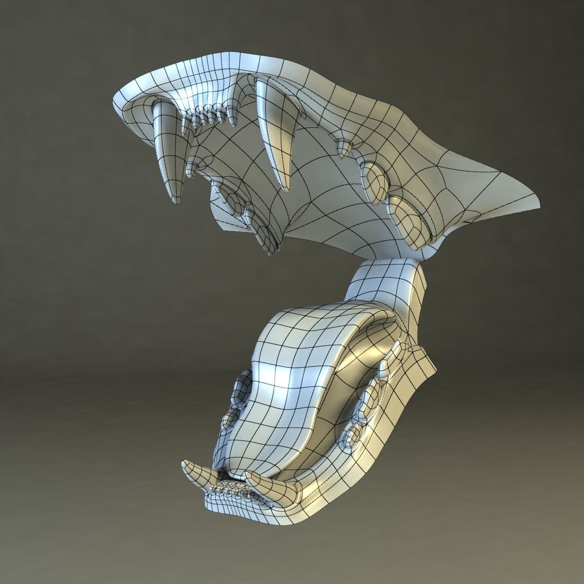 Amur Tiger vray v1 Low-poly 3D model_14