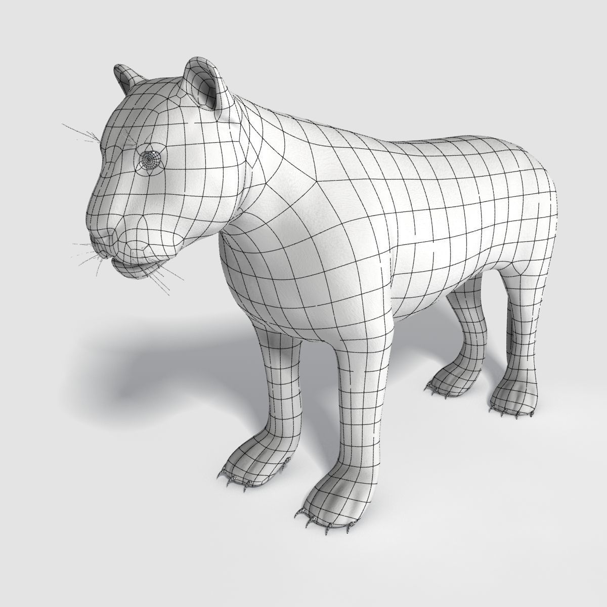 Siberian White Tiger v1 Low-poly 3D model_10