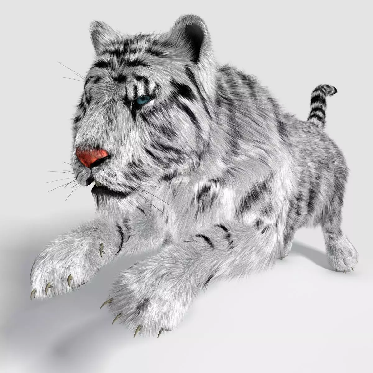 Siberian White Tiger v1 Low-poly 3D model_0