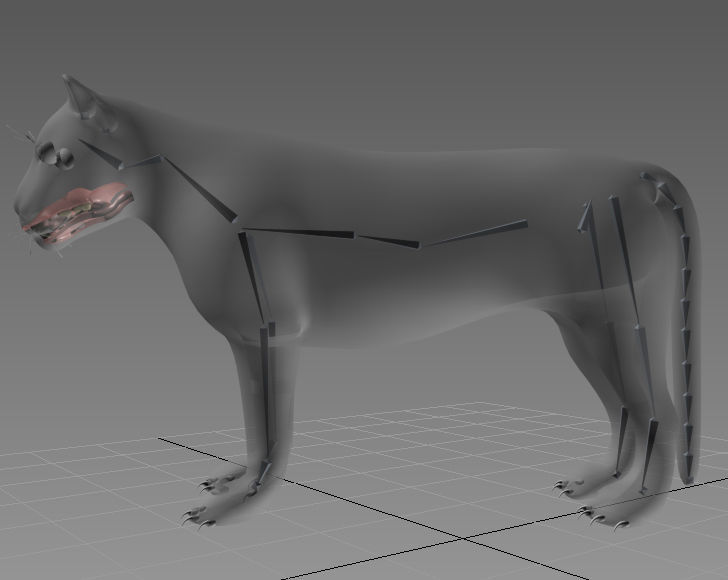 Siberian White Tiger v1 Low-poly 3D model_8
