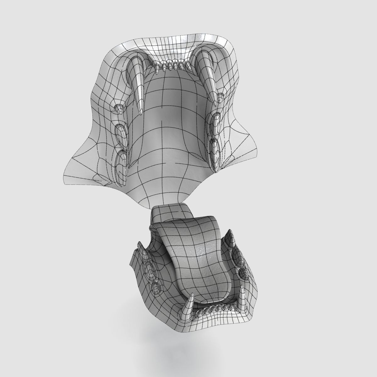 Siberian White Tiger v1 Low-poly 3D model_9