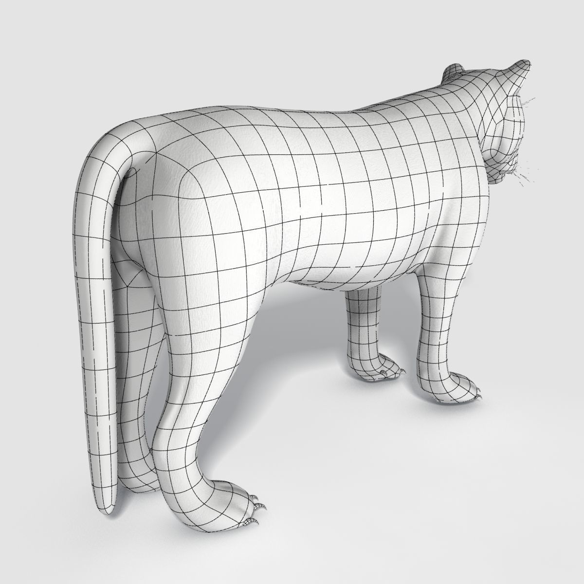 Siberian White Tiger v1 Low-poly 3D model_11