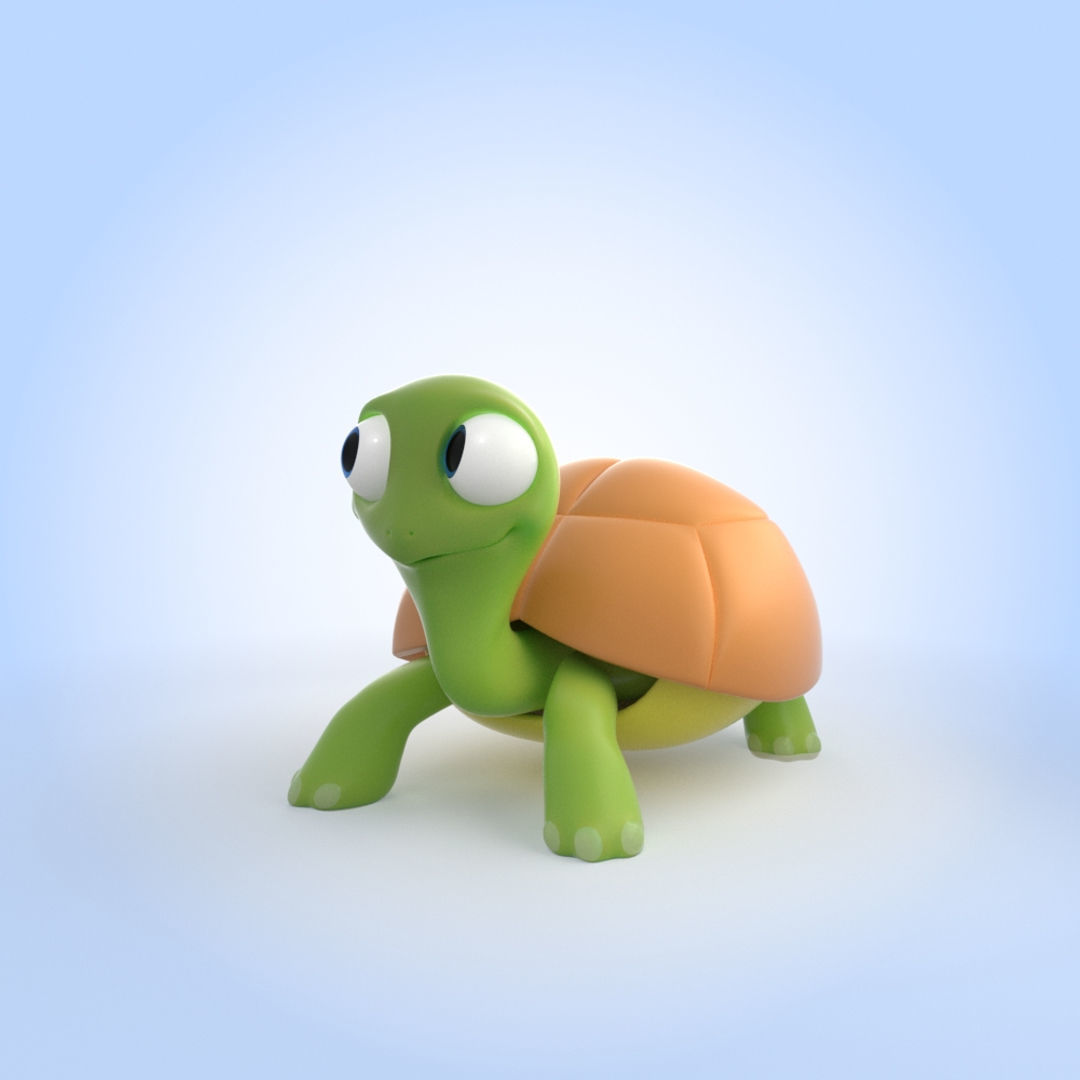Turtle  3D model_3