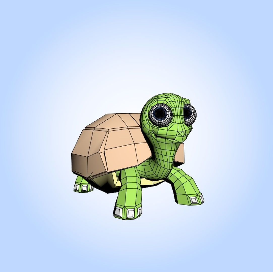 Turtle  3D model_4