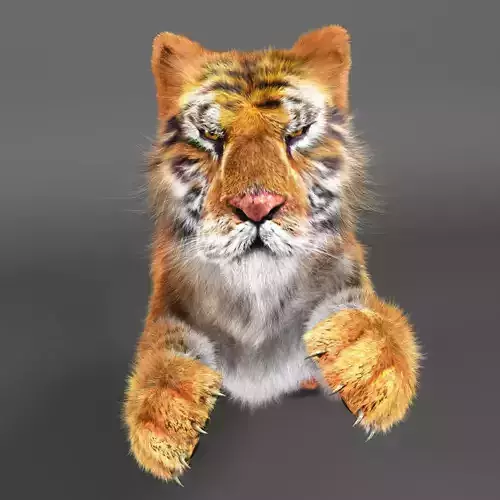 Rigged Tiger Upgraded v2 Low-poly 3D model