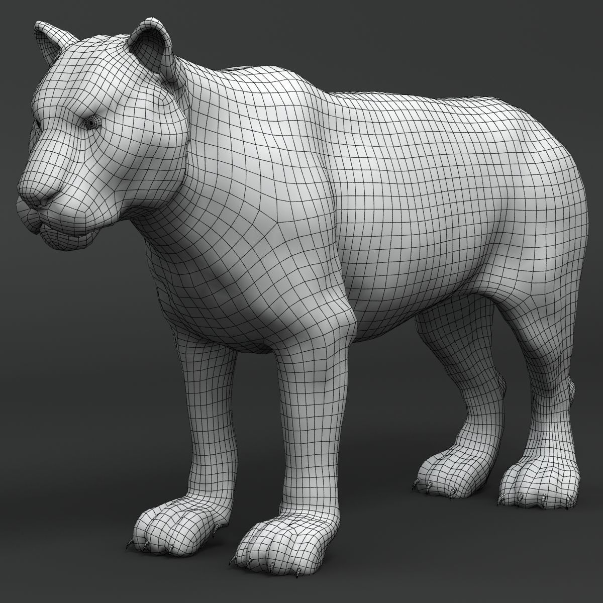 Amur Tiger v2 Low-poly 3D model_11