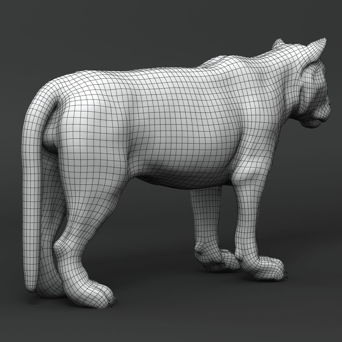 Amur Tiger v2 Low-poly 3D model_12