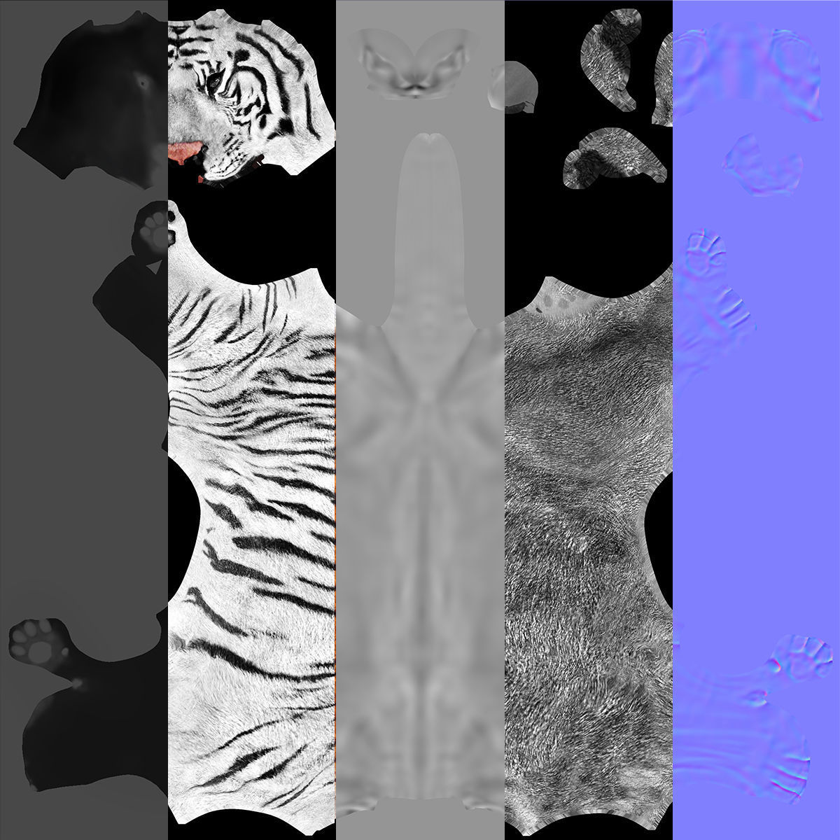 Rigged White Tiger v2 Low-poly 3D model_7