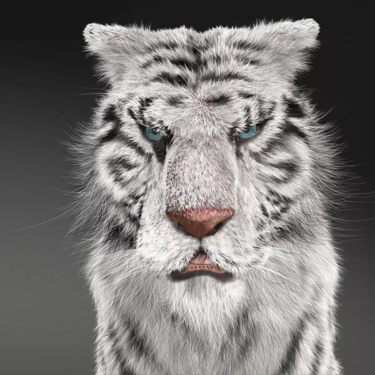 Rigged White Tiger v2 Low-poly 3D model_0
