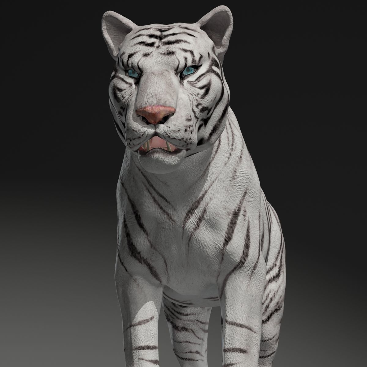 Rigged White Tiger v2 Low-poly 3D model_9