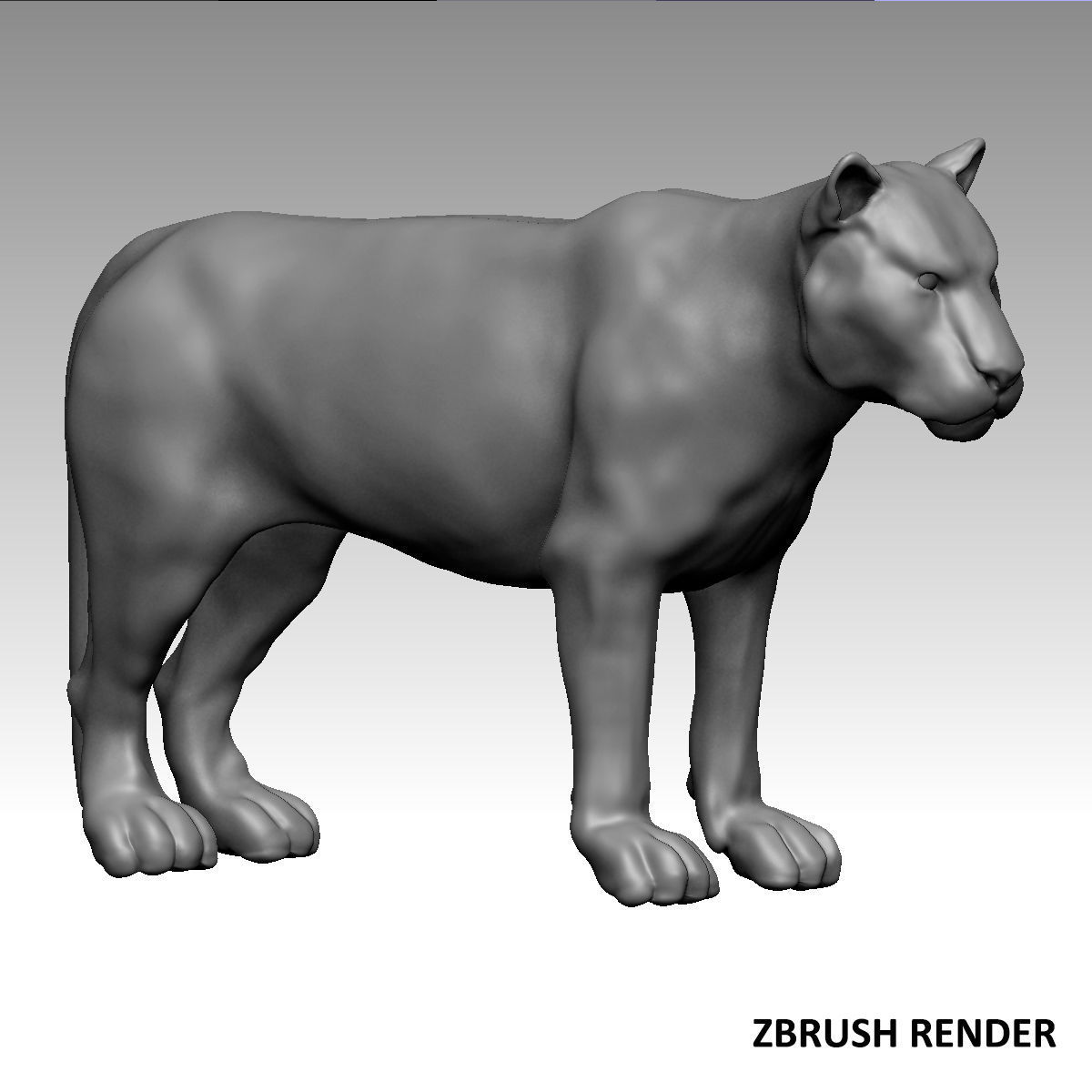 Rigged White Tiger v2 Low-poly 3D model_12