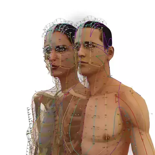 3D Acupuncture naked man
