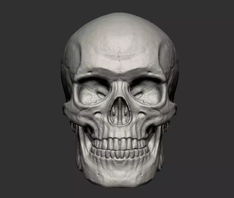 Skull 3D print model_0