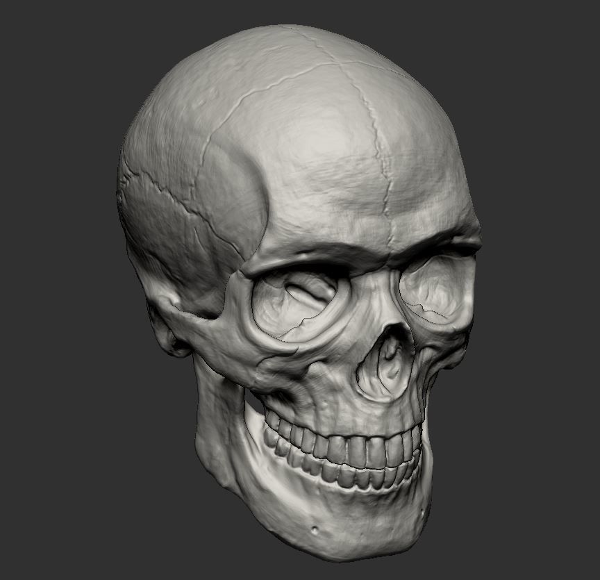 Skull 3D print model_4