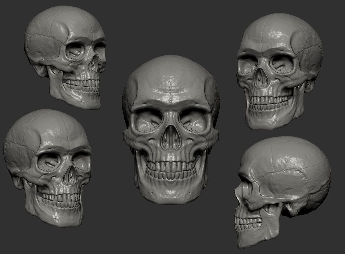 Skull 3D print model_6