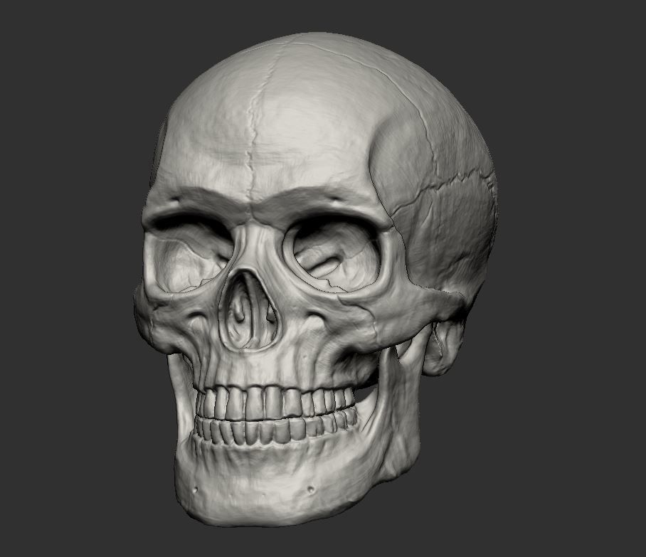 Skull 3D print model_1