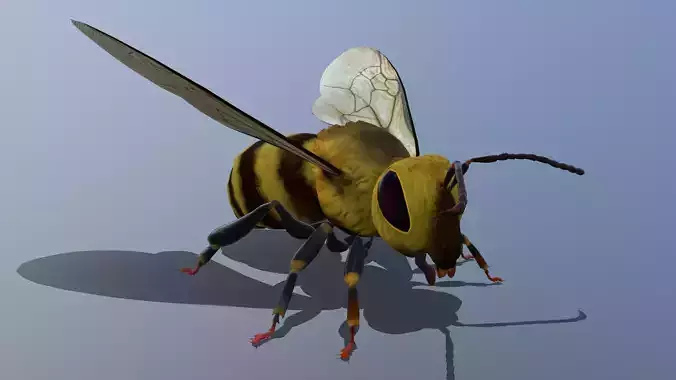 Bee Animation Low-poly 3D model