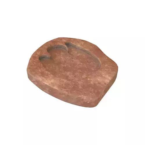 Footprint Fossil v1 001