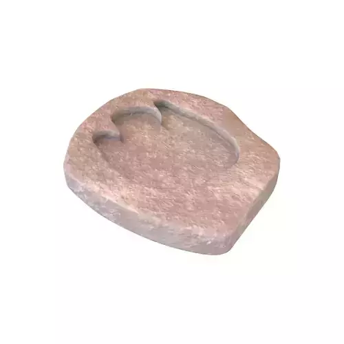 Footprint Fossil v1 002