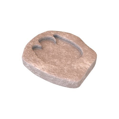 Footprint Fossil v1 002 Low-poly 3D model