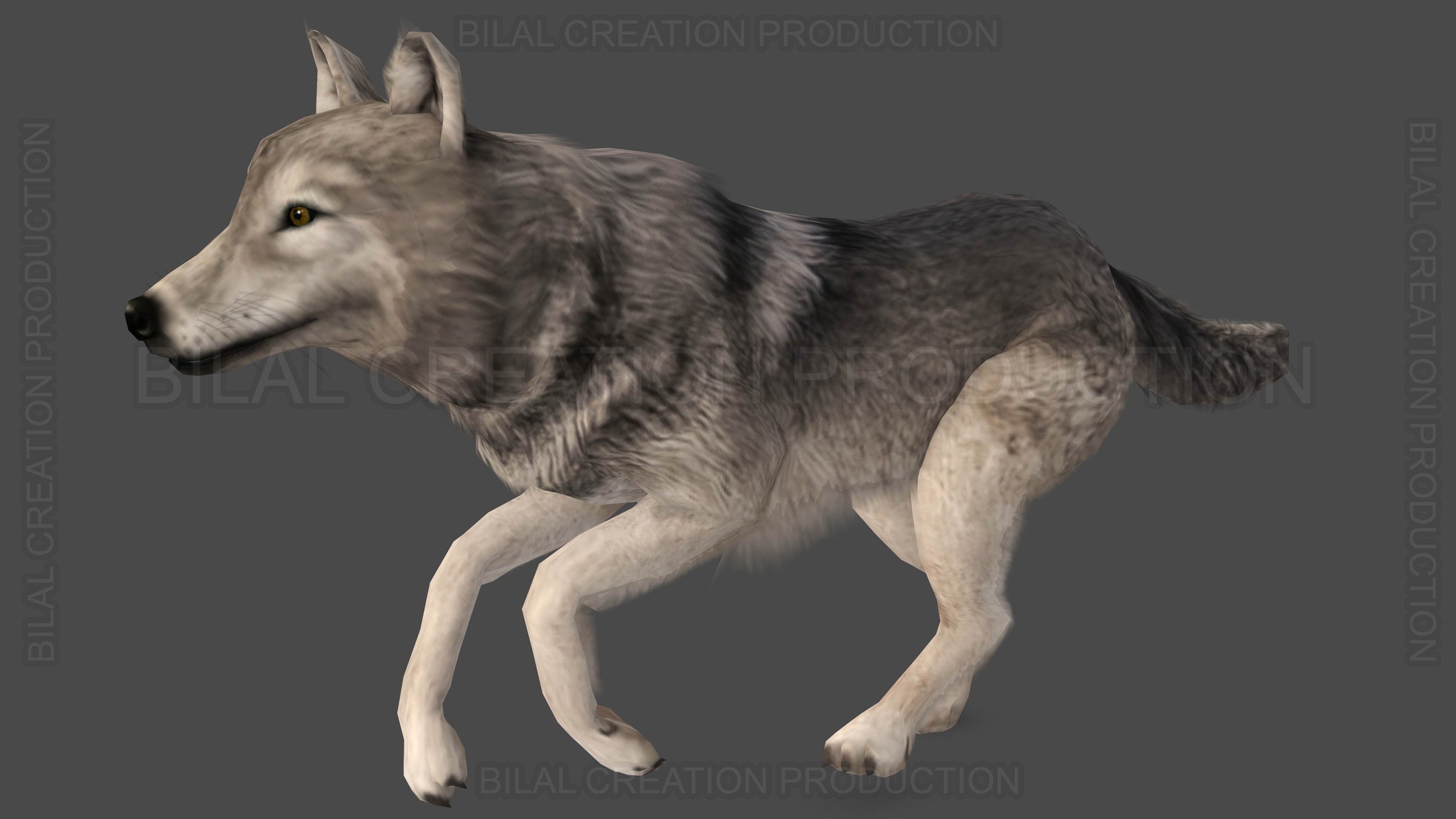 WOLF RIGGED ANIMATED 6 Low-poly 3D model_8