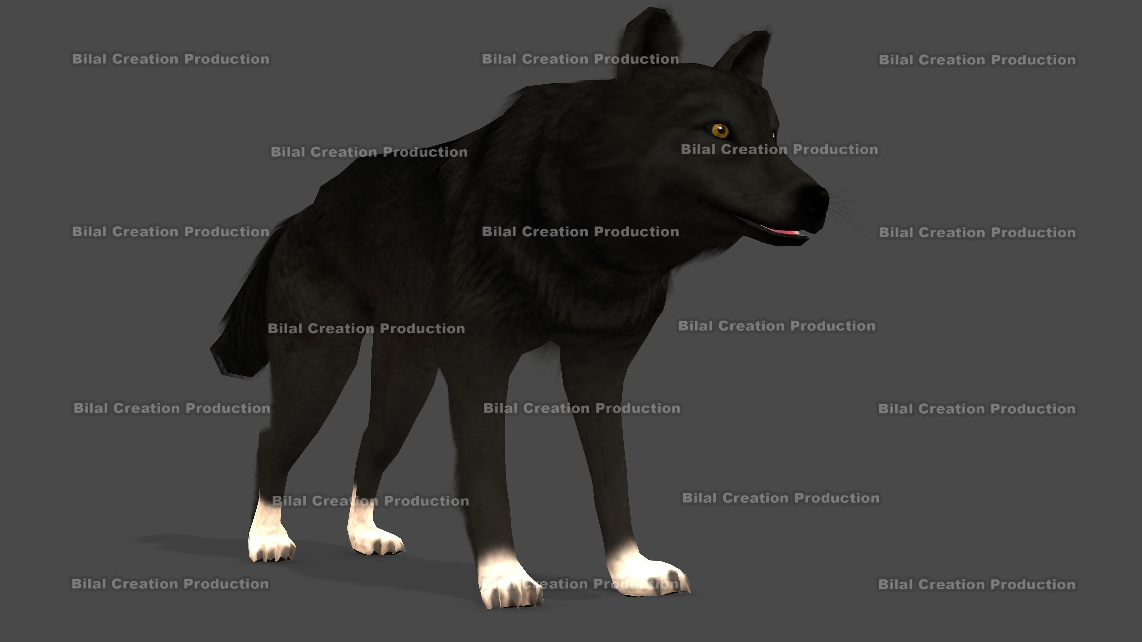 WOLF RIGGED ANIMATED 6 Low-poly 3D model_5