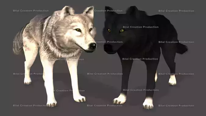 WOLF RIGGED ANIMATED 6 Low-poly 3D model