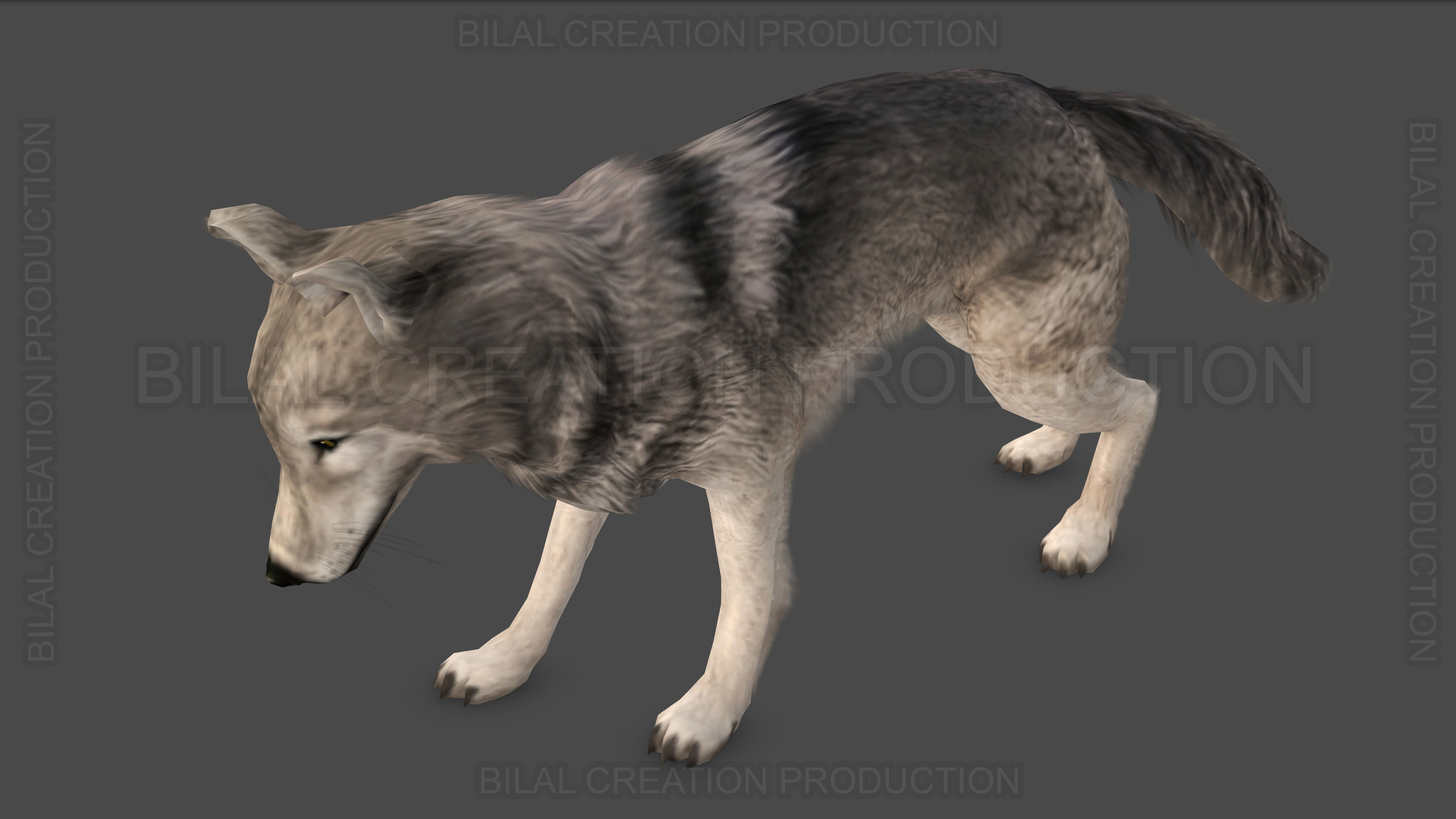 WOLF RIGGED ANIMATED 6 Low-poly 3D model_10