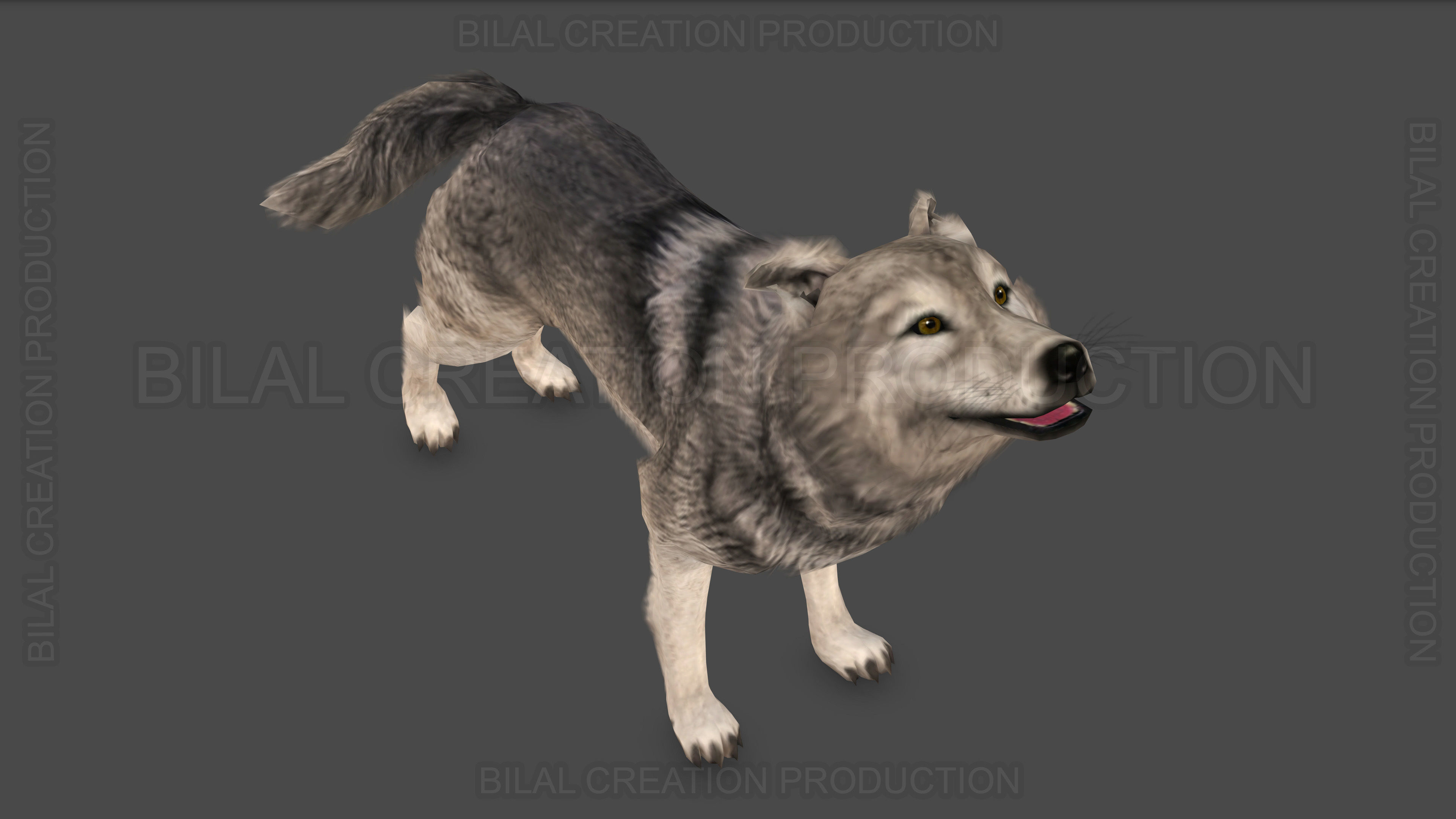 WOLF RIGGED ANIMATED 6 Low-poly 3D model_11