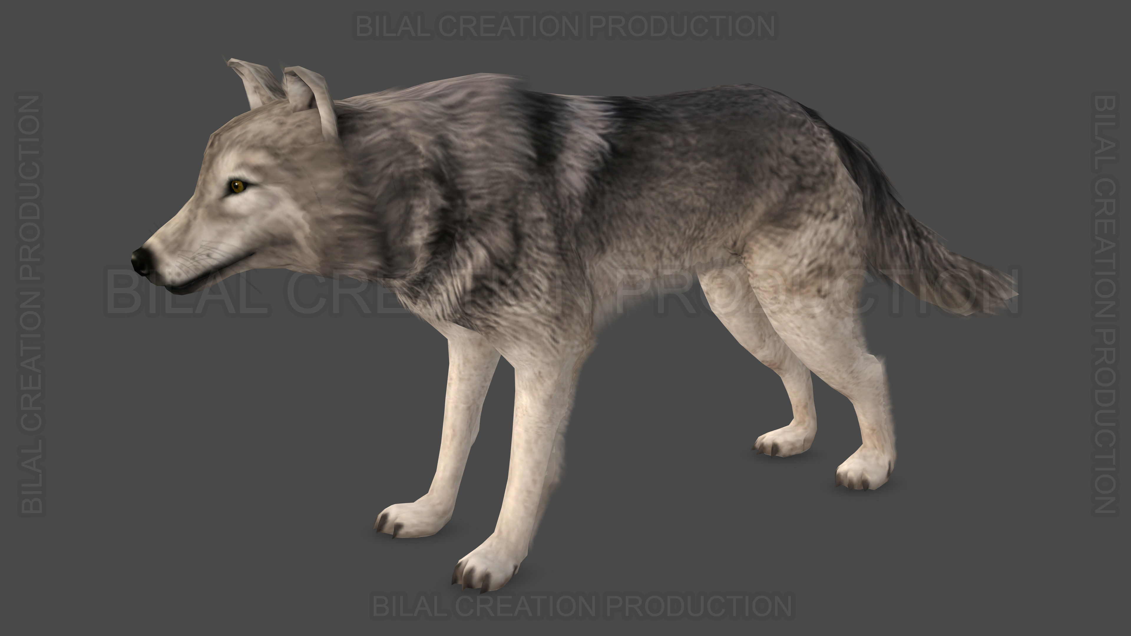 WOLF RIGGED ANIMATED 6 Low-poly 3D model_12