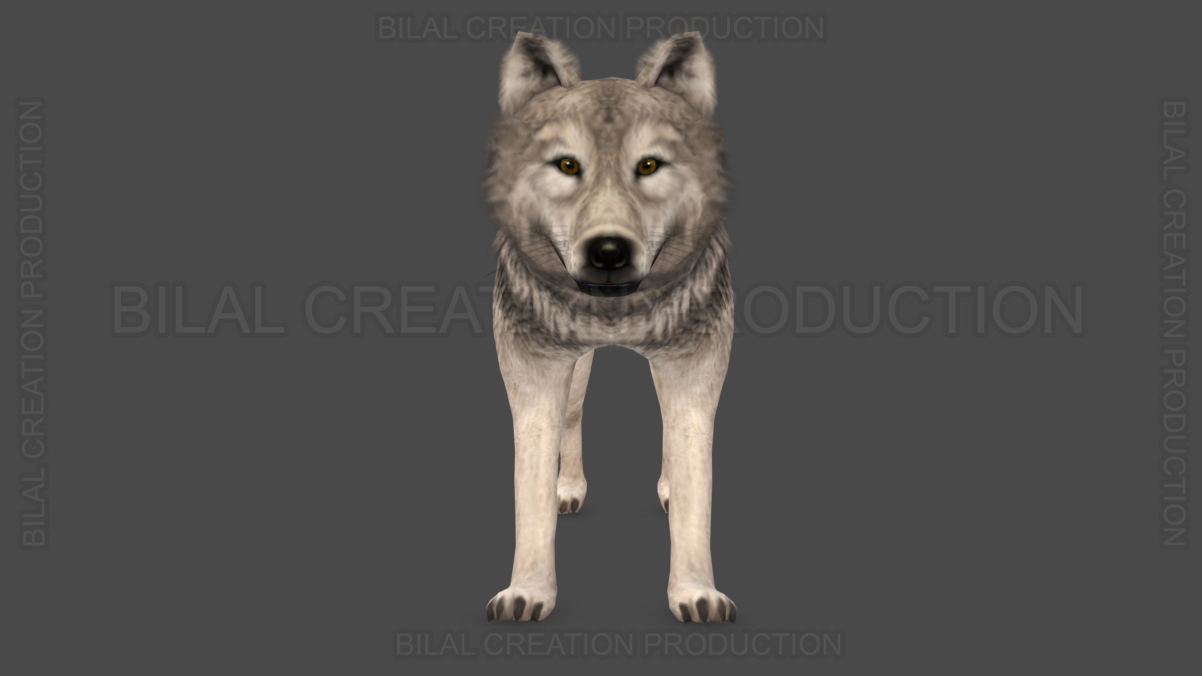 WOLF RIGGED ANIMATED 6 Low-poly 3D model_6