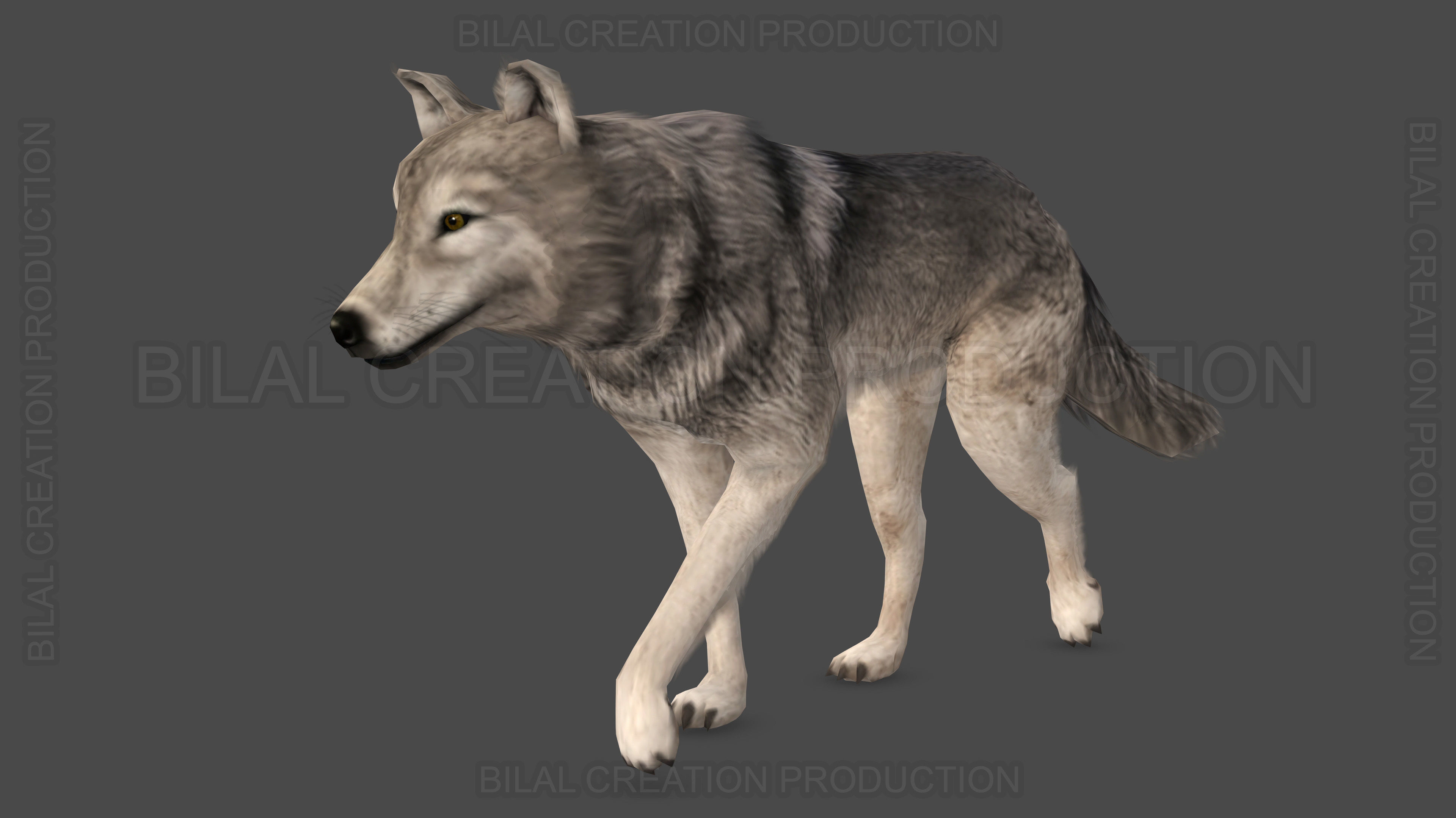 WOLF RIGGED ANIMATED 6 Low-poly 3D model_7