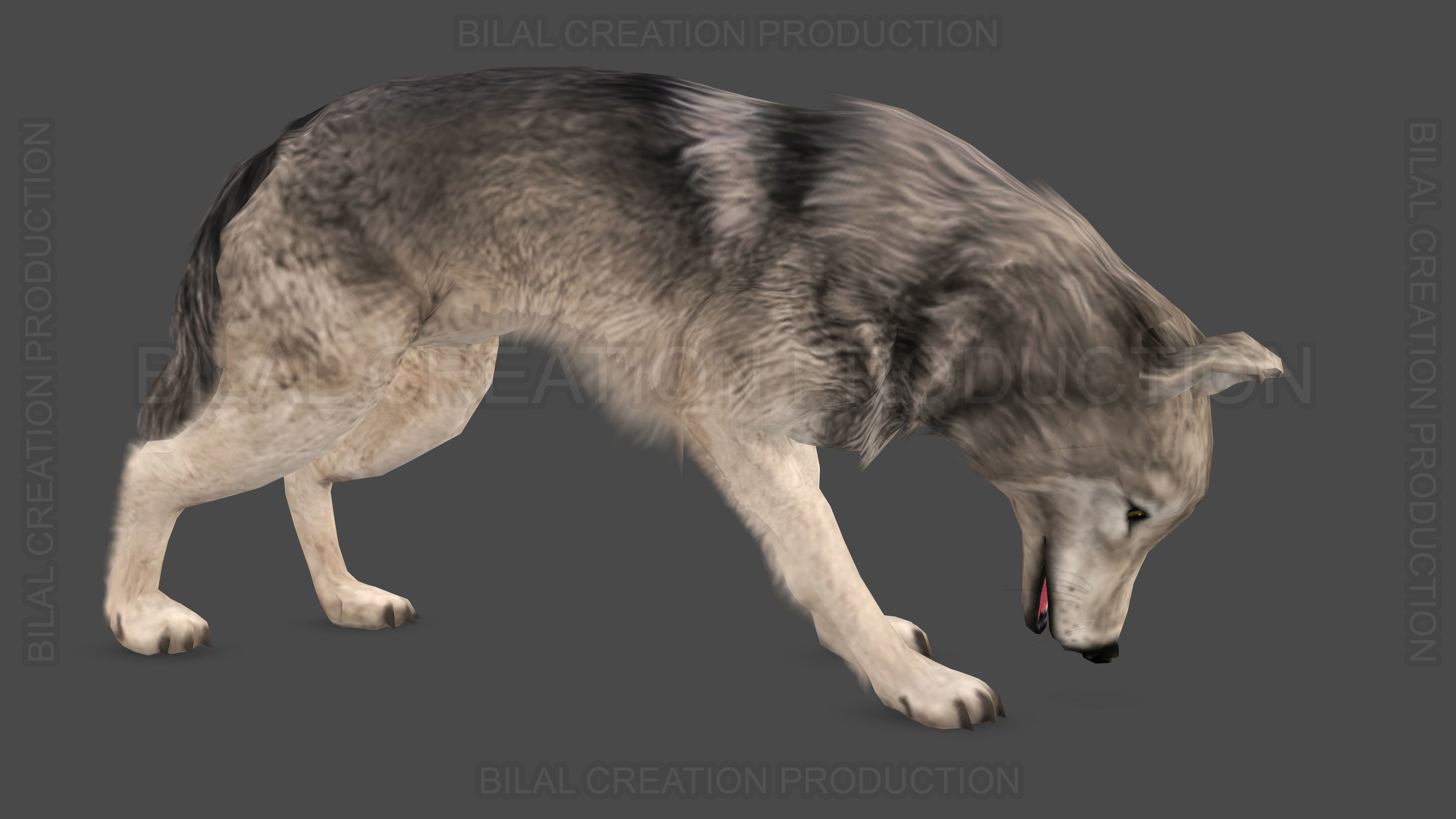 WOLF RIGGED ANIMATED 6 Low-poly 3D model_16