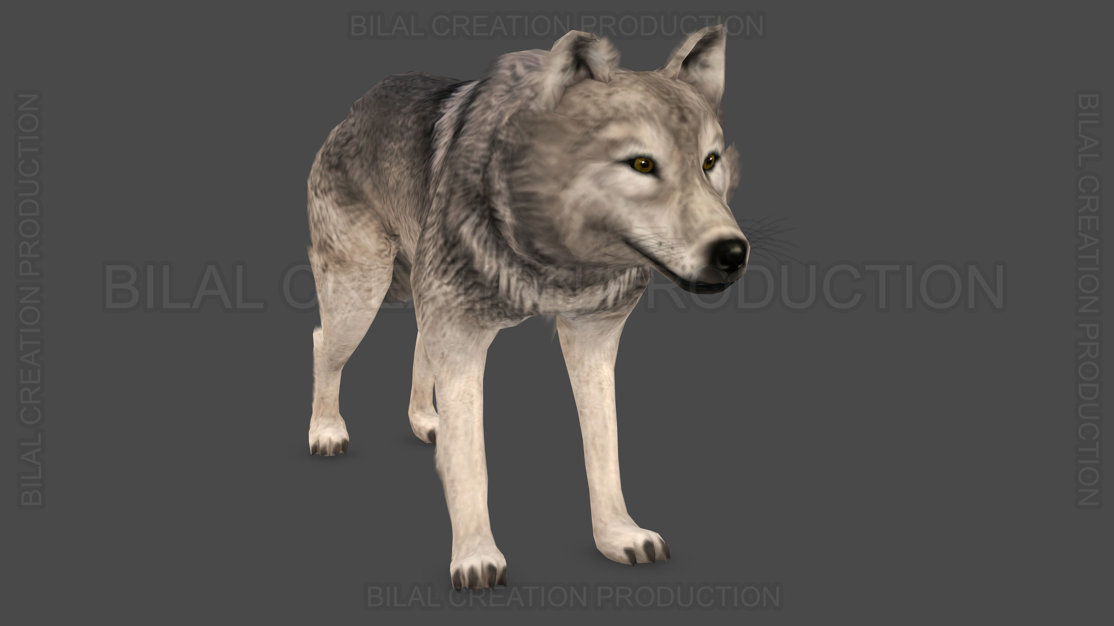 WOLF RIGGED ANIMATED 6 Low-poly 3D model_4