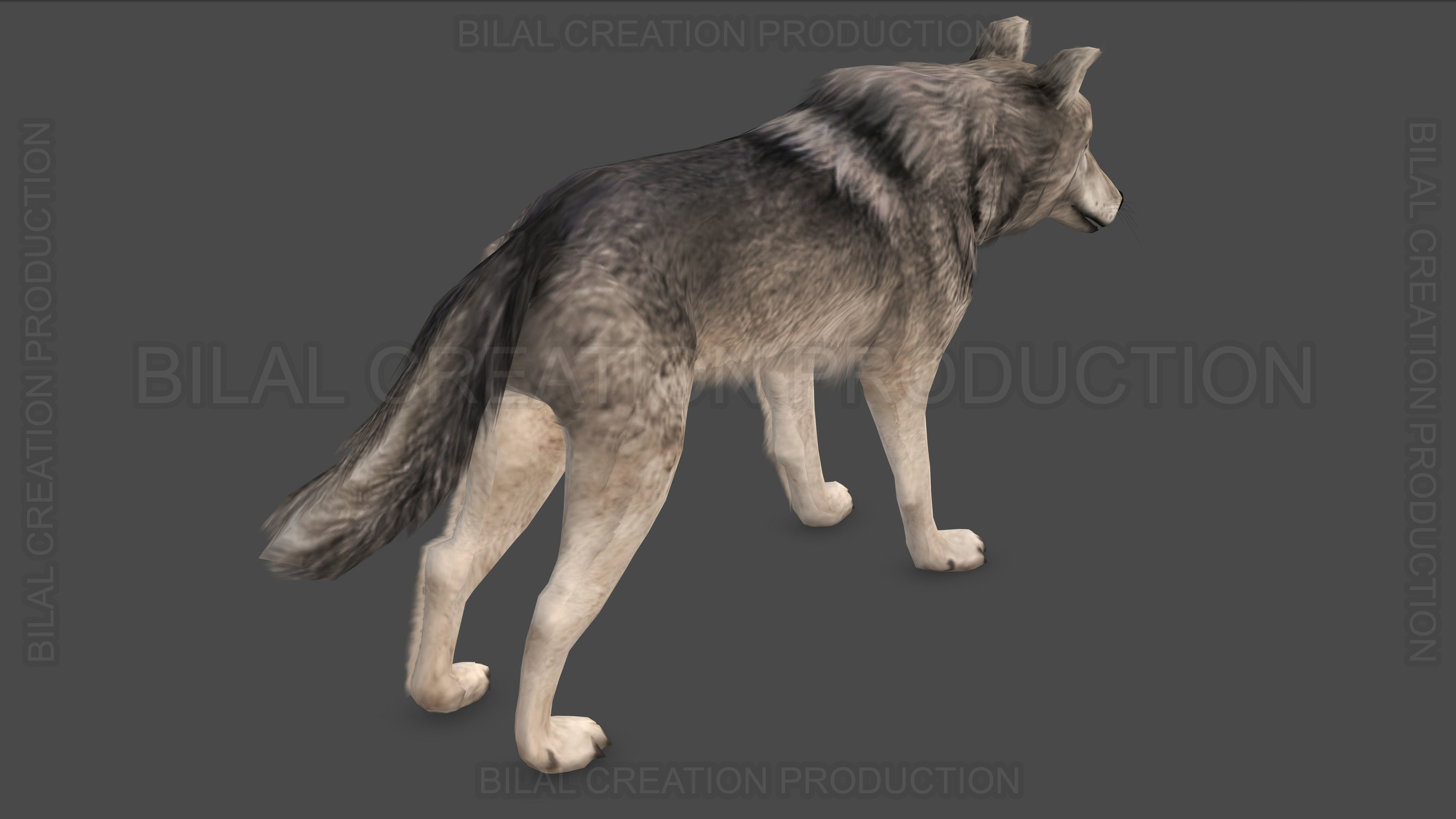 WOLF RIGGED ANIMATED 6 Low-poly 3D model_13