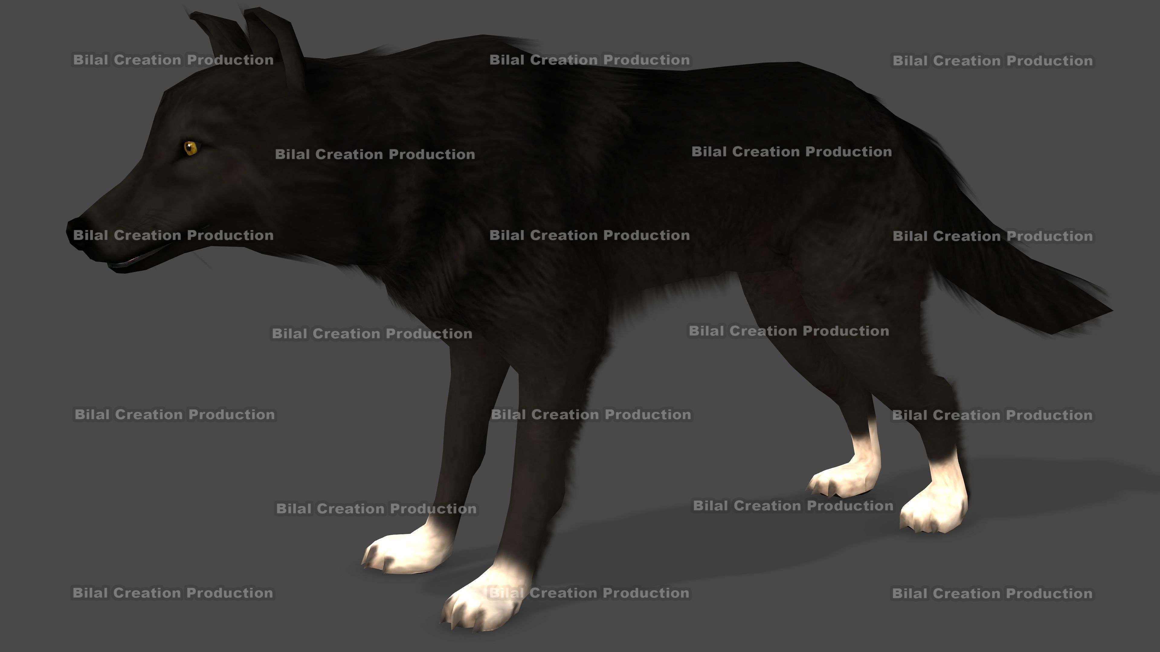 WOLF RIGGED ANIMATED 6 Low-poly 3D model_3