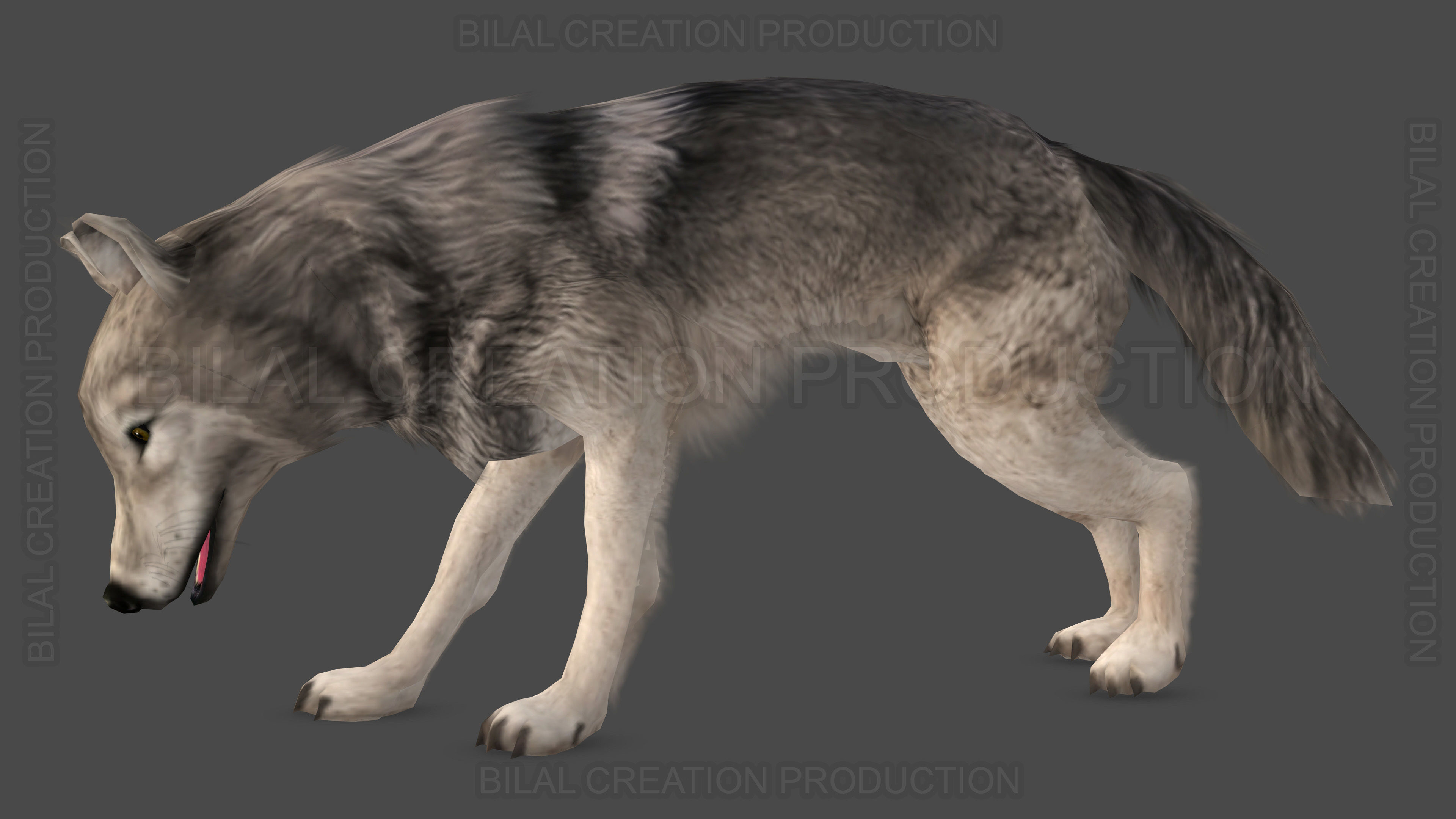 WOLF RIGGED ANIMATED 6 Low-poly 3D model_15