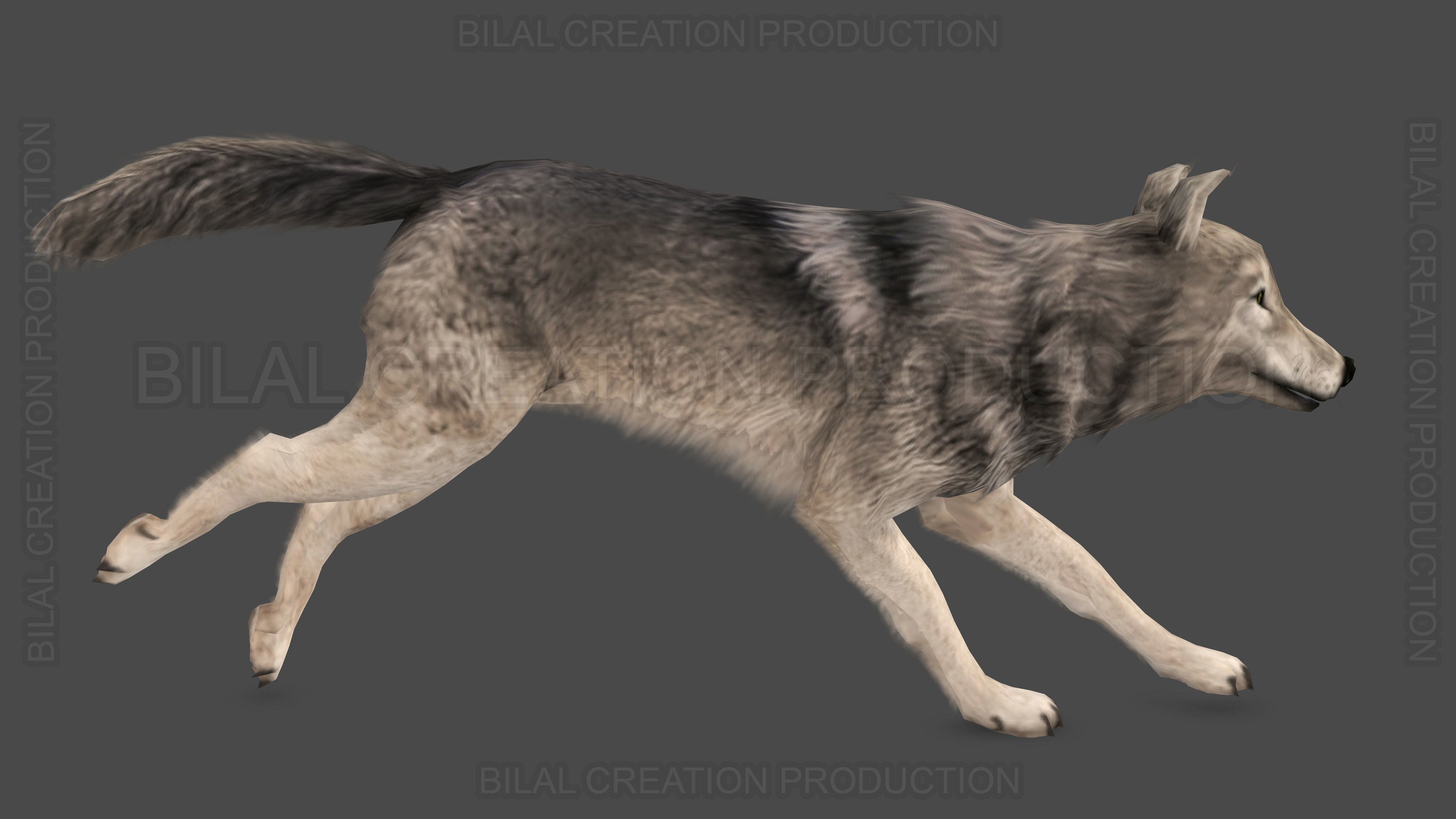 WOLF RIGGED ANIMATED 6 Low-poly 3D model_9