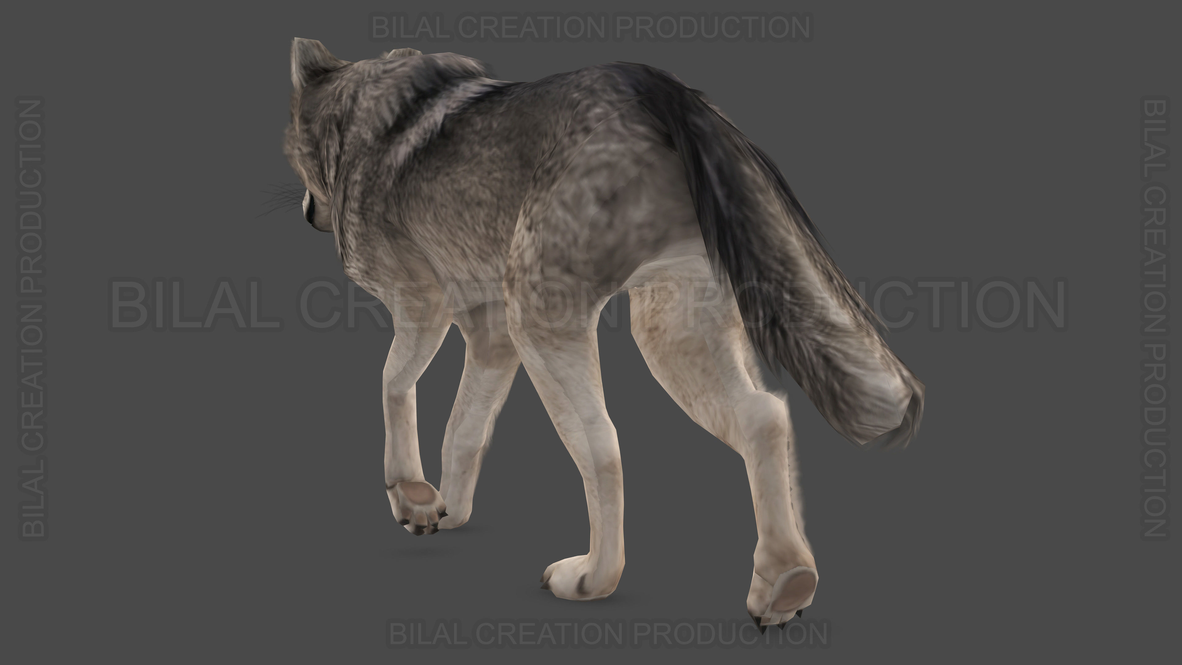 WOLF RIGGED ANIMATED 6 Low-poly 3D model_14