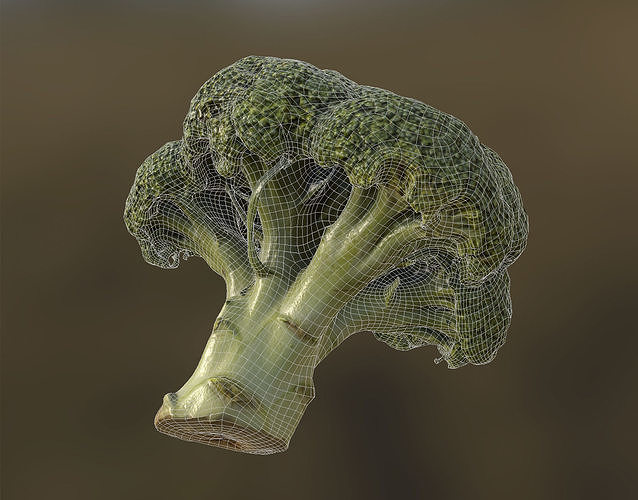 Broccoli 3d model piece of Low-poly 3D model 5