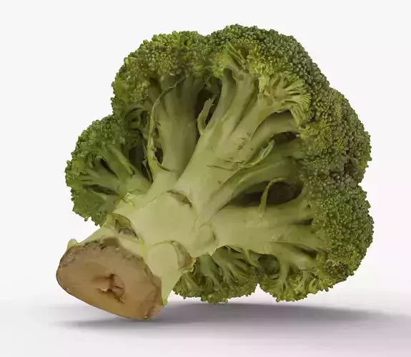 Broccoli 3d model piece of Low-poly 3D model