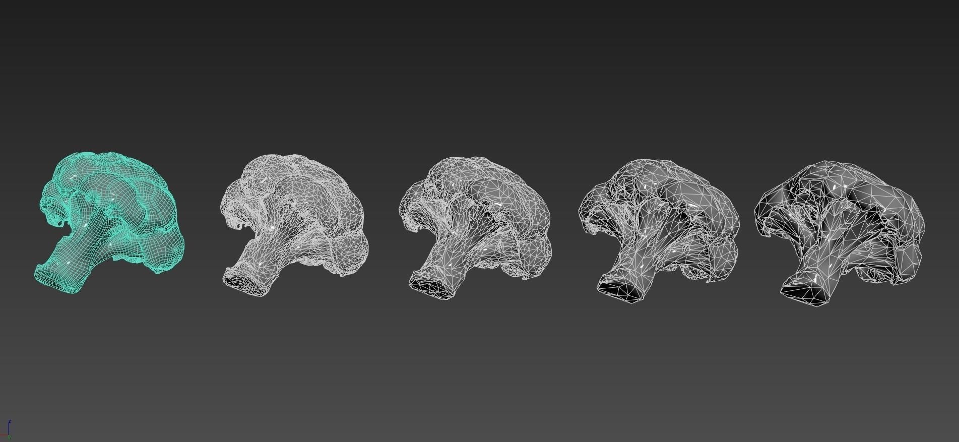 Broccoli 3d model piece of Low-poly 3D model_5