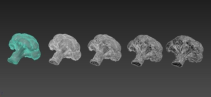 Broccoli 3d model piece of Low-poly 3D model 6